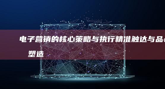 电子营销的核心策略与执行：精准触达与品牌塑造